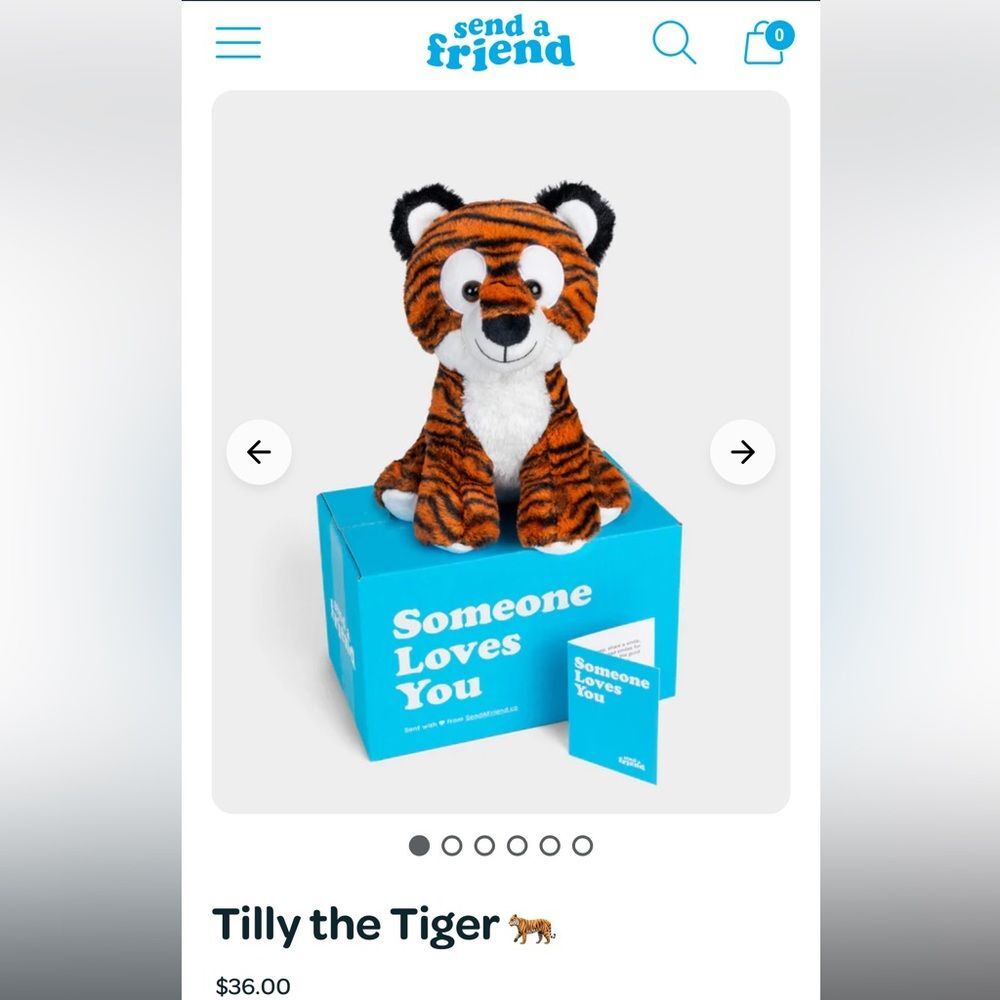 NEW Send A Friend Tilly The Tiger Orange and White Stuffed Animal Toy